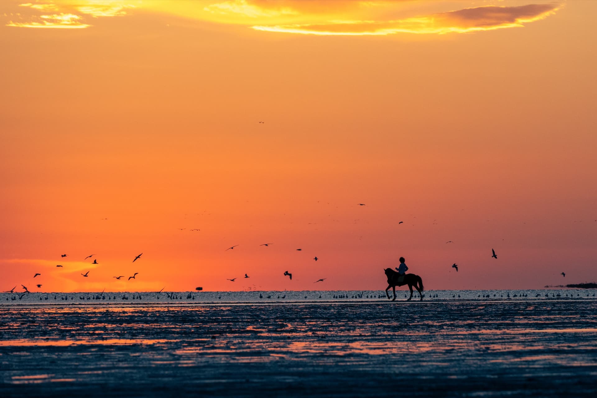 Slow Travel à Djerba : L'Art de Voyager Autrement